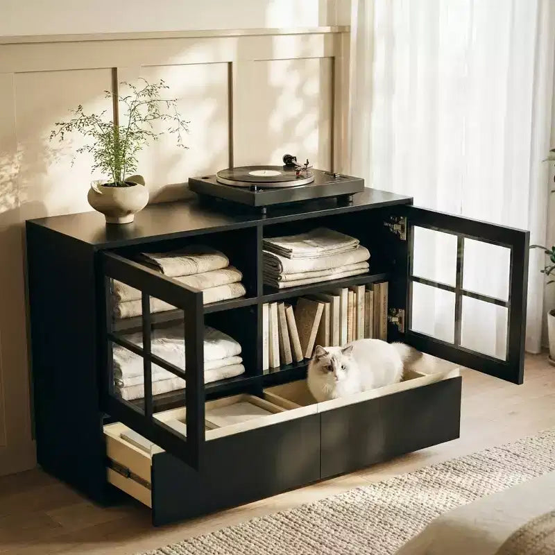 47.04 Buffet moderne avec portes en acrylique incassable – Meuble de rangement à 2 tiroirs avec étagères réglables – Noir mat
